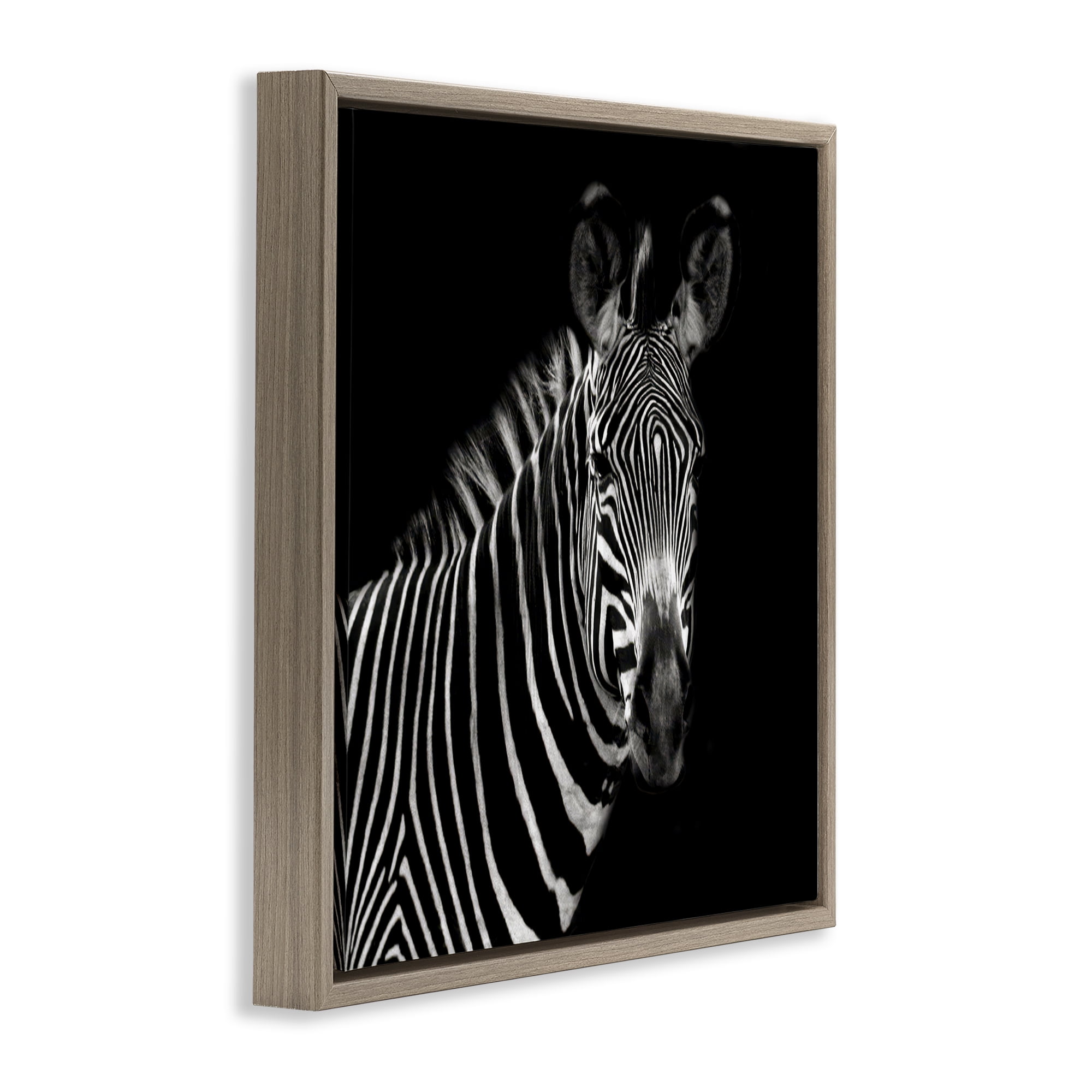Stupell Industries Jungle Zebra Portrait Animals Photography Brown Floater Framed Canvas Art Print Wall Art, 18 x 18