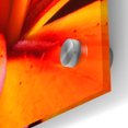 thumbnail image 3 of Epic Art 'Orange Flower on Black 02' by Tom Quartermaine, Acrylic Glass Wall Art, 24"x24", 3 of 8