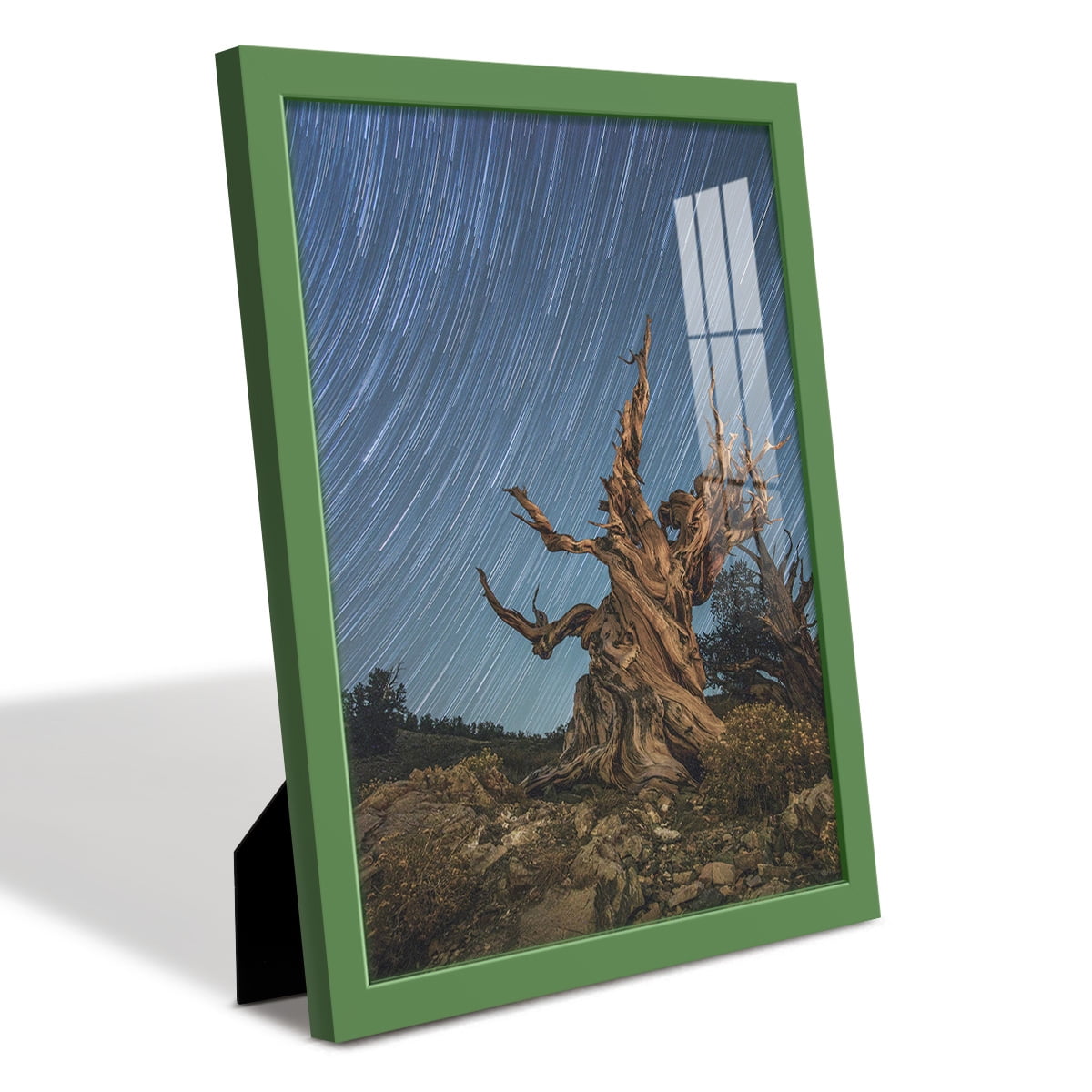 Modern 11 in. x 14 in. Green Picture Frame (Set of 4)