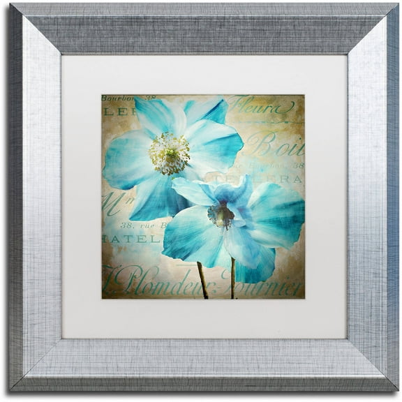 Trademark Fine Art "Himalayan Blue I" Canvas Art by Color Bakery White Matte, Silver Frame