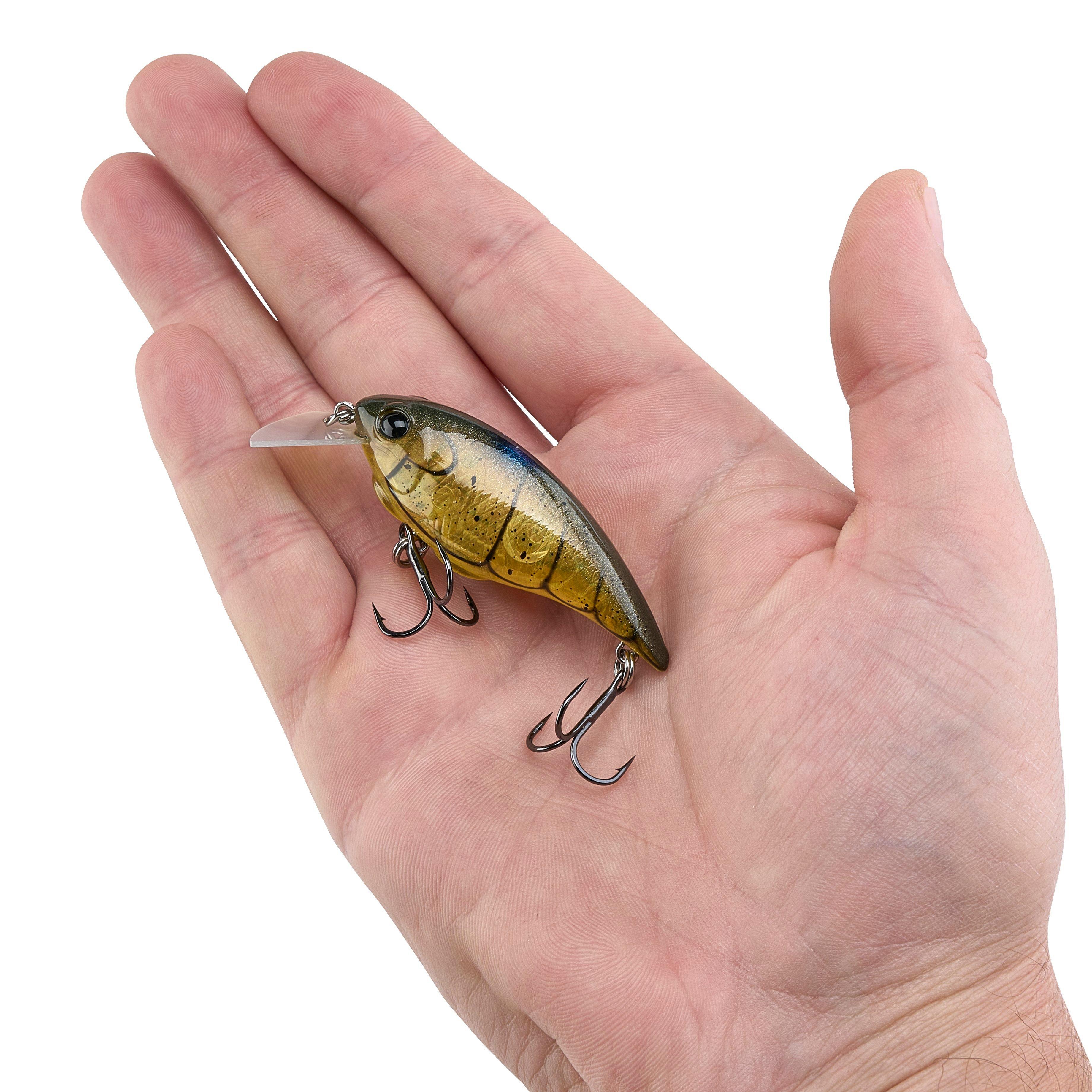 Berkley Shallow Money Badger Fishing Crankbait, 2.5 in, Hybrid Baitfish-Crayfish