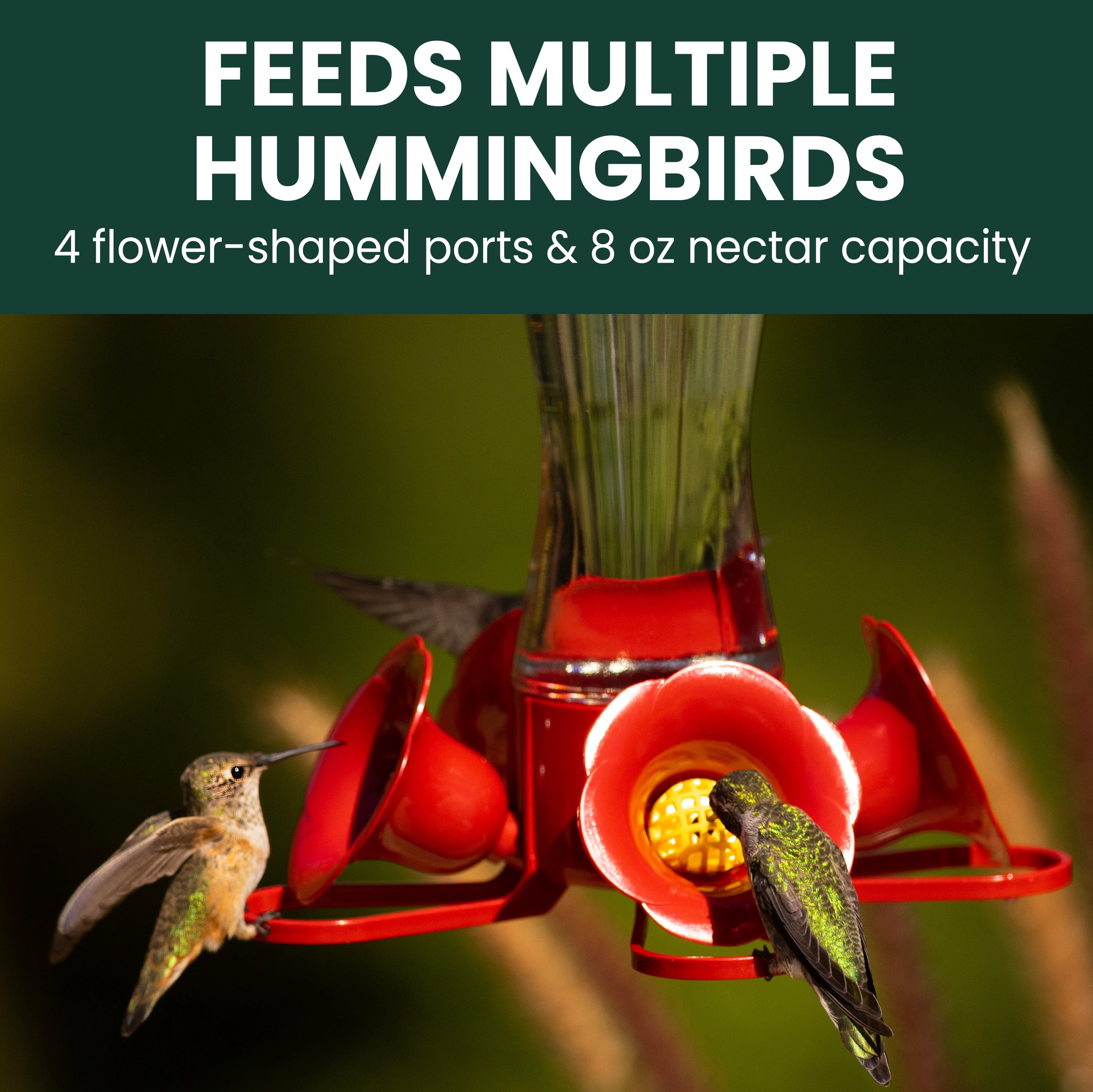 Perky-Pet Pinch-Waist Glass Hummingbird Feeder 8 oz Capacity, Red