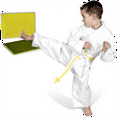 thumbnail image 7 of Rebreakable Boards Martial Arts,Reusable Plastic Training Breaking Boards,Taekwondo Breaking Boards, Karate Breaking Boards, Taekwondo Karate Ninja Training Equipment, 12.20x9.06 inches, 7 of 7