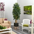 thumbnail image 4 of Nearly Natural 80" Phoenix Artificial Palm tree in Black Planter with Stand, 4 of 4