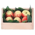 thumbnail image 2 of Casa de muñecas fruta de cocina manzanas de troncos de arcilla fruta de casa de muñecas linda para reuniones familiares ANGGREK Otros, 2 of 8