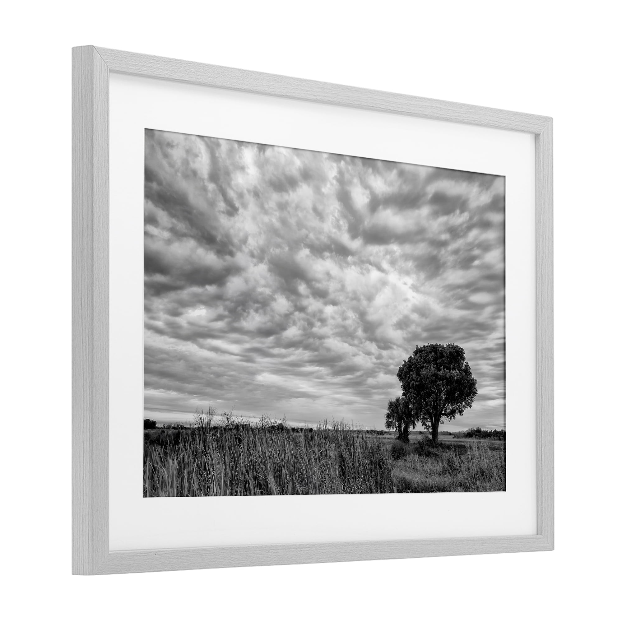 Stupell Industries Solitary Tree Beneath Clouds Gray Framed Print Under Glass, design by Jon Evan