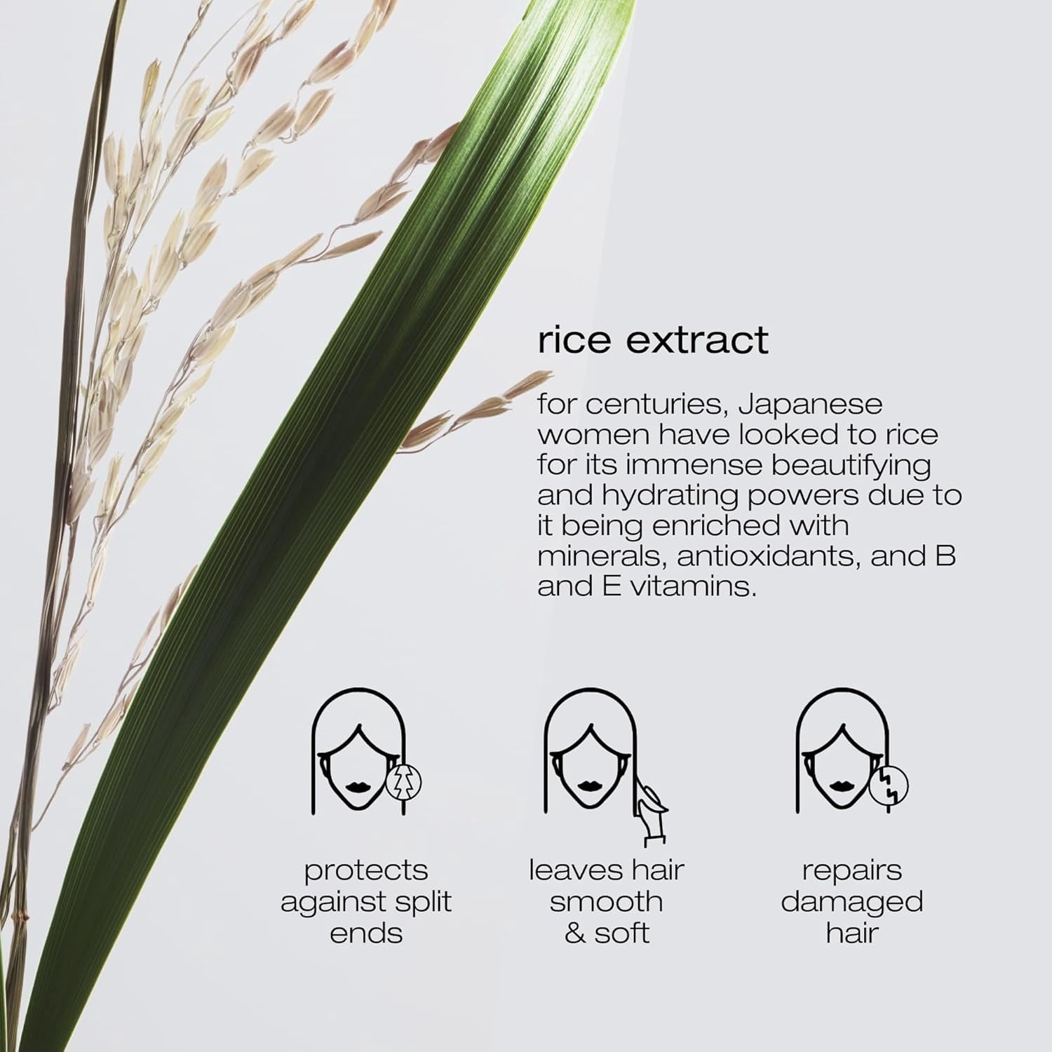 Shu Uemura Ultimate Reset Extreme Repair Hair Mask | Strengthens to Reduce Breakage and Split Ends | Deeply Conditions and Nourishes | With Japanese Rice Extract | For Dry and Very Damaged Hair