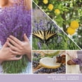 thumbnail image 5 of Yankee Candle Lemon Lavender Signature Medium Pillar Candle, 14.25oz, 5 of 7