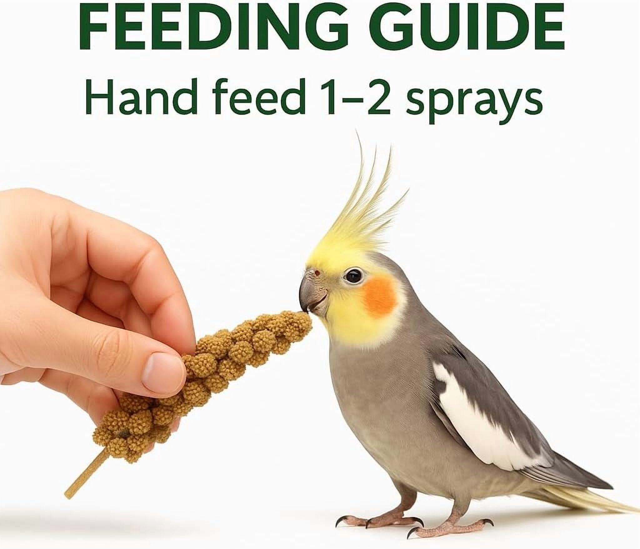 Birds LOVE Economy & Special Spray Millet for Birds, No Stems Non-GMO Sun-Dried Edible Millet Tops for Cockatiels, Lovebirds, Parakeets, Finches & Canaries, 5 lb