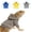 Gray, variant on Crawling Pet Outdoor Transformation Outfit,Lizard Clothing,Hoodie,Warm Sweater Jacket,Reptile Clothing With Velcro.