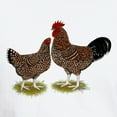thumbnail image 4 of CafePress - Speckled Sussex Chickens White T Shirt - Men's Classic T-Shirts, 4 of 5