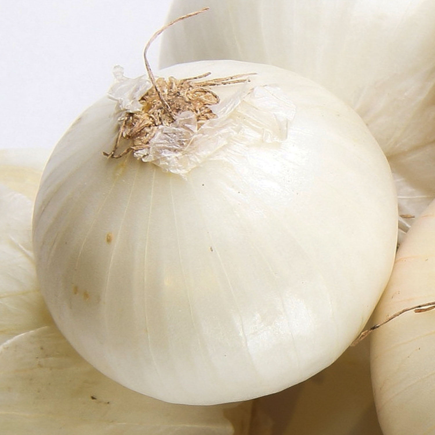 Expert Gardener Onion White Sets (Set of 100 Dormant Vegetable Bulbs) Full Sun, White, Annual