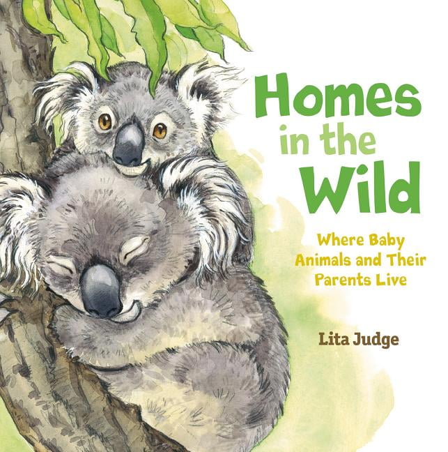 In the Wild: Homes in the Wild : Where Baby Animals and Their Parents Live  (Hardcover) 