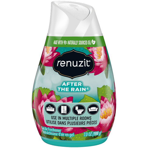 Renuzit Solid Gel Air Freshener Cone, After the Rain, 1 Cone Walmart