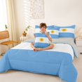 thumbnail image 4 of Manfei Argentinian Flag 7-Piece Twin Bedding,Blue White Yellow Bedding Comforter Set,Light Gray Reversible, 4 of 7