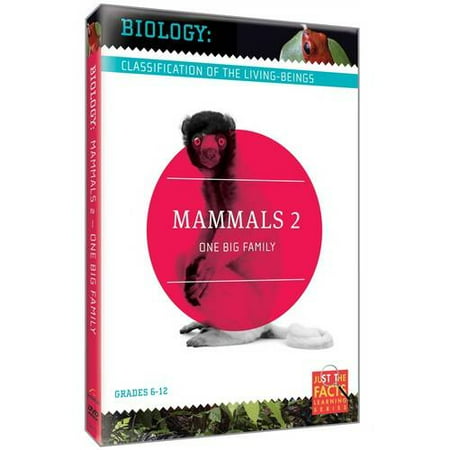 Biology: Classification Of The Living-Beings - Mammals, Vol. 2: One Big Family