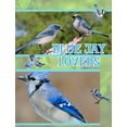 thumbnail image 6 of Blue Jay Gifts Blanket for Women Men, Flannel Blanket Throws (50"x 60") as Christmas, Birthday Gift for Blue Jay Bird Lovers, 6 of 6