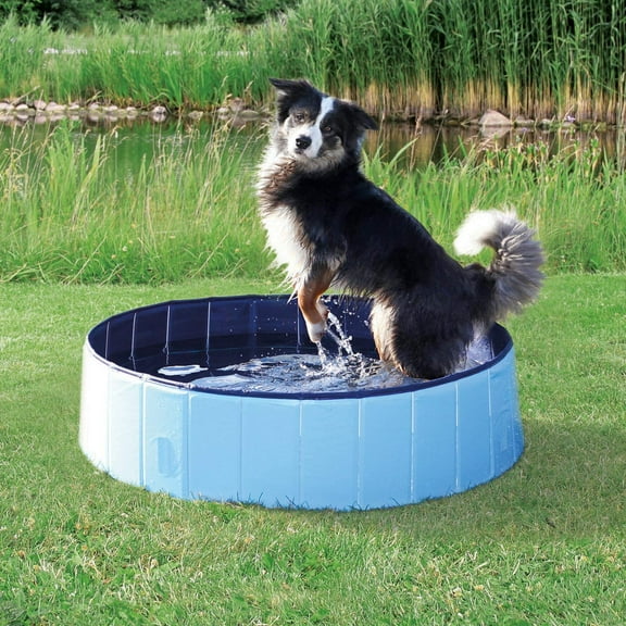 Dog Pool - Portable Swimming Pool for Dogs, Cats, Small Kids - Bath for Pets with Non-Slip Base, Drain Valve - Outdoor Bathtub for Playing, Grooming, Summer (Large- 48" X 12")
