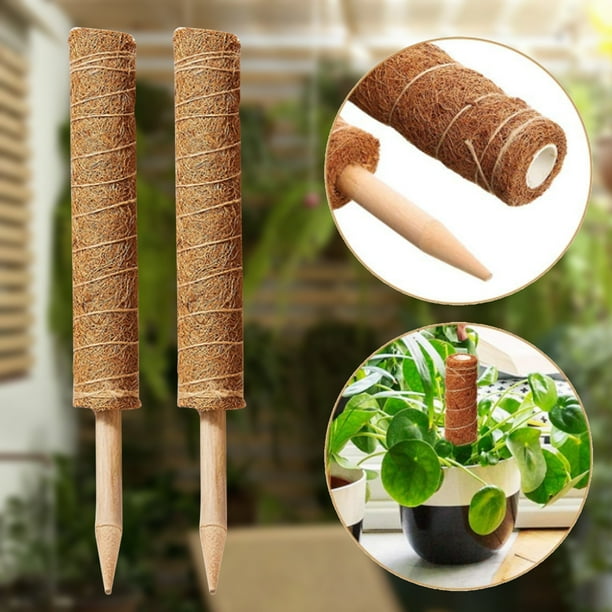 Moss Pole Set with String & Tag Coconut Coir Pole Plant Support Indoor