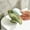 Green, variant on 100Fens Soap Self-draining Soap Dish Non-porous Easy Clean Soap Soap Dish With Gold Metal Suitable For Shower Bathroom Kitchen Sink Bathtub