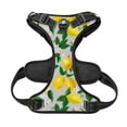 thumbnail image 5 of Picia Lemon Seamless Pattern Oil Painting Effect No-Pull Dog Harness Reflective Front Clip Vest with Handle,Step-in Air Dog Harness,Adjustable 2 Metal Rings 4 Buckles,Easy to Put on & Take Off Medium, 5 of 9