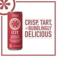 IZZE Sparkling Juice, Grapefruit, 8.4 oz Cans, 24 Count