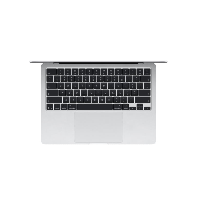 Apple 13