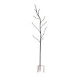 thumbnail image 1 of Evergreen Bottle Tree Variations (Bronze), 1 of 4