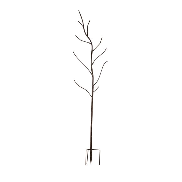 Evergreen Bottle Tree Variations (Bronze)
