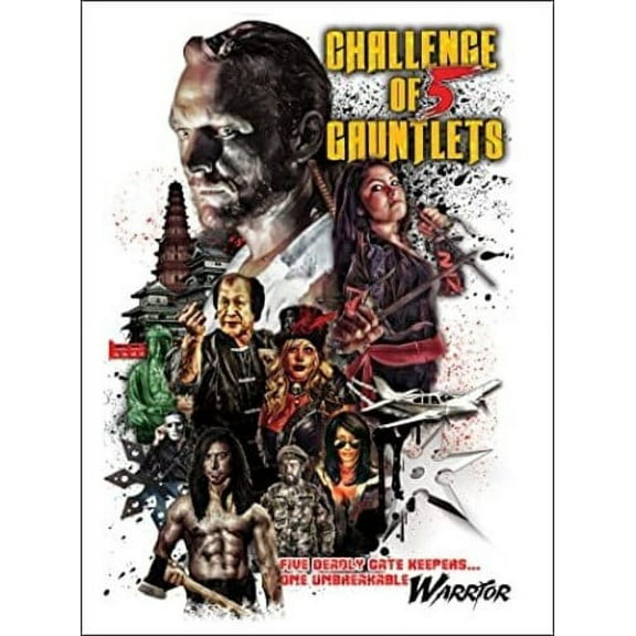 Challenge Of 5 Gauntlets (DVD), World Wide Multi Med, Action & Adventure