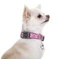 thumbnail image 2 of DOOG Collar Toto Large, 2 of 3