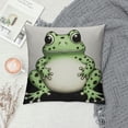 thumbnail image 2 of Nawypu  Frog Pillow Covers,Frogs Throw Pillow Covers,Frogs Lover Gifts,Frog Stuff, 2 of 5