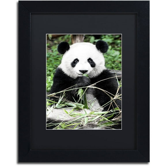 Trademark Fine Art "Giant Panda" Canvas Art by Philippe Hugonnard, Black Matte, Black Frame