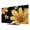 Black, Yellow, Gold, variant on TV Cover Indoor, White Daisy Rustic Stretch TV Dust Cover Television Screen Protector, Pastoral Flowers Honeybees Burlap Elastic Polyester Display Covers, Monitor Slipcover for LED LCD TVs 75 Inch