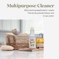 thumbnail image 3 of Limpiador doméstico Cleaning Solution Young Living Thieves, 420 ml, 3 of 8