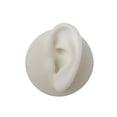thumbnail image 2 of Modelo de oreja de silicona Herramientas de perforación suave Imitación Artificial Reutilizable Parte del cuerpo para la práctica Exhibición de joyas - izquierda Salvador Modelos de oreja de silicona, 2 of 9