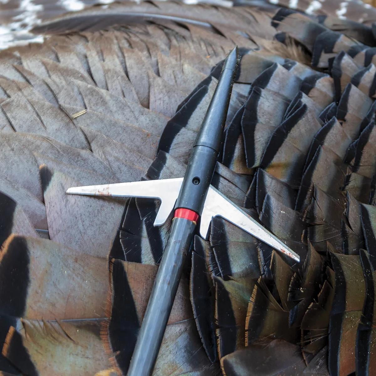 (Pack of 3) Expandable 2-Blade Broadheads by Swhacker, 150 Grain, 3" Cut, Razor-Sharp Performance