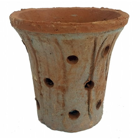 Rustic Terracotta  Clay  Elegance Orchid  Pot  6 25 x 5 5 
