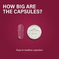 thumbnail image 6 of Noophoric Beet Root Capsules 1300mg – Nitric Oxide & Circulation Support for Heart Health, 120 Capsules (2 Pack), 6 of 8