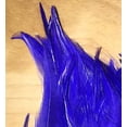 thumbnail image 3 of Creative Angler Saddle Hackle for Fly Tying/Tying Flies (Blue), 3 of 4