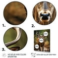 thumbnail image 3 of Designart "African Majestic Antelope Strolling" Animals Floater Framed Canvas Print, 3 of 7
