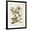 Black Frame, variant on Art.com Vintage Flowering Trees III Art Print by 0 Unknown, 12" x 16"