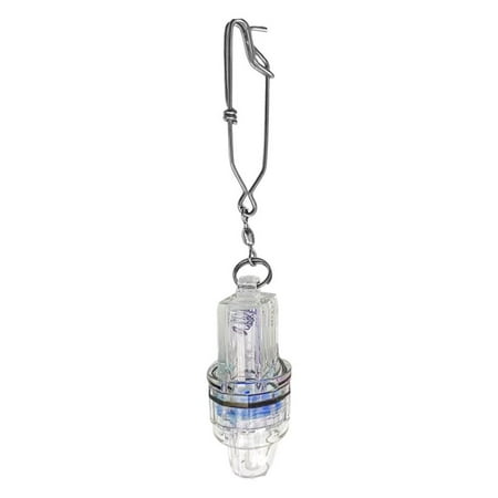 

BESTHUA LED Night Fishing Light Automotive Lighting Assemblies Dock Lure Bait Deep Drop Waterproof LED Fishing Light attracting Bait Lure Fishing Tools best service