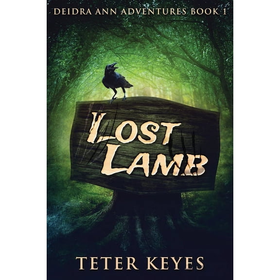 Deidra Ann Adventures Lost Lamb, Book 1, (Paperback)