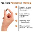 thumbnail image 5 of Best treats for dogs with itchy skin and paws, 5 of 5