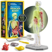 National Geographic Human Body OIF8Model for Kids That The Dark - 32-Piece Interactive Anatomy Model with Bones, Organs, Muscles, Science Kit Stocking Stuffer, Anatomy & Physiology Study Tools