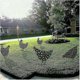 thumbnail image 5 of 5 Pack Realistic Hens Yard Ornament Chicken Shape Yard Silhouette Ornament For Lawn Path Sidewalk Yard, 5 of 5