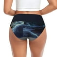 thumbnail image 3 of Womens Underwear - Aurora Iceberg Seal A No Show Seamless Underwear for Women, Stretch Women's Panties, Hipster Soft Comfort Ladies Panties Bikini Underwear Briefs, 3 of 6