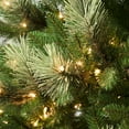 thumbnail image 3 of National Tree Company 4.5 ft. Pre-Lit Artificial Christmas Tree, Green, Charleston Pine, 150 Clear Lights, Includes Stand, 3 of 3