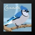 thumbnail image 2 of Prime, Marcus 15x15 Black Modern Framed Museum Art Print Titled - Canada Blue Jay, 2 of 5